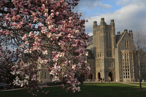 康涅狄格大学法学院教授详解LLM\/JD项目申请 _行前准备 _光明网